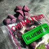 CHINA FRUIT  BLUEBERRY 70G