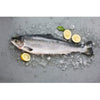 FISH SALMON NORWEIGIAN LEROY 3-4 KG