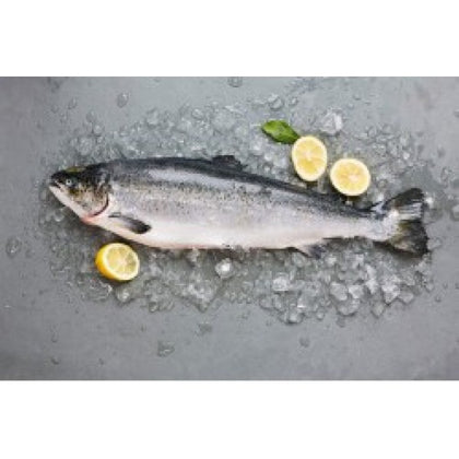 FISH SALMON NORWEIGIAN 2/3KG